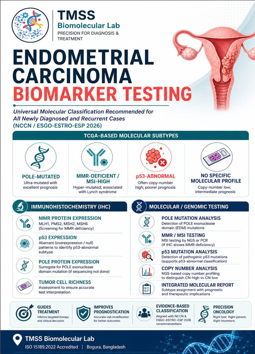Endometrial Carcinoma Biomarker Testing